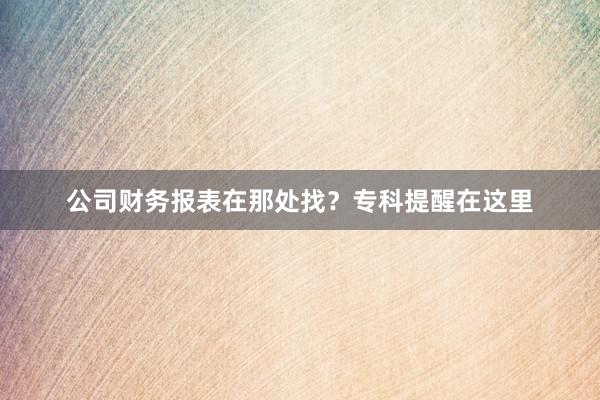 公司财务报表在那处找？专科提醒在这里