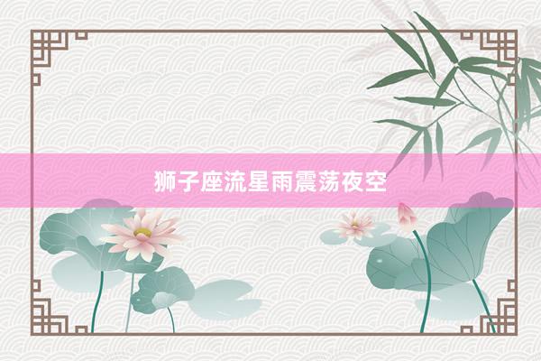 狮子座流星雨震荡夜空